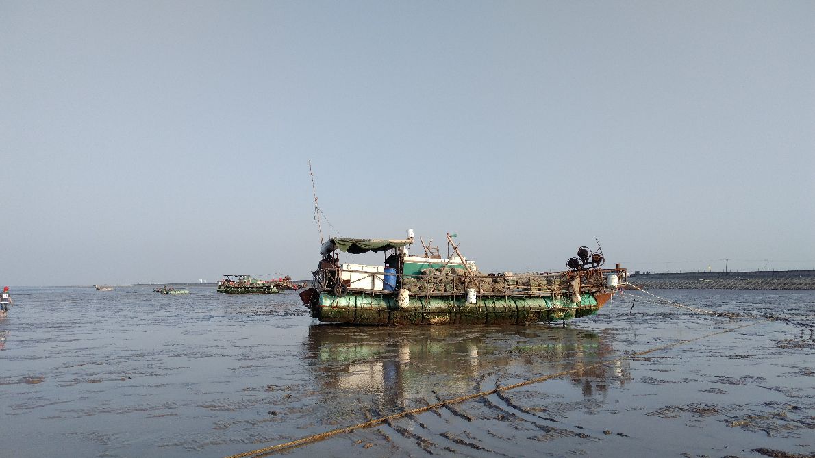 如东海上迪斯科休闲旅游区攻略,如东海上迪斯科休闲区