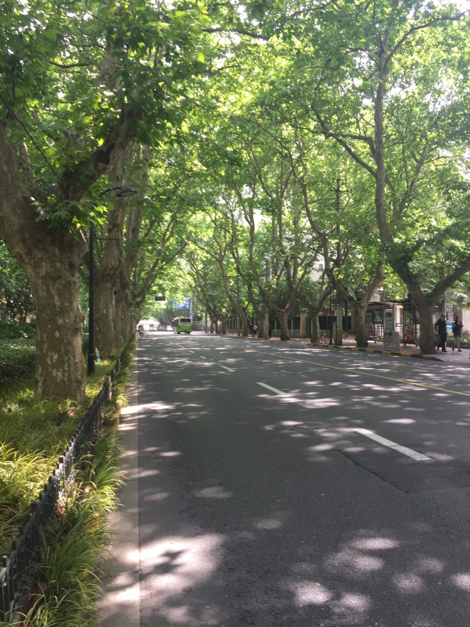 【携程攻略】上海衡山路景点,以前这路很出名,两边都