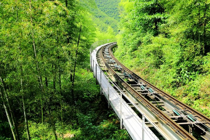 乘坐亚洲最先进的地面缆车,感受穿梭原始林间道路的惊险与刺激.