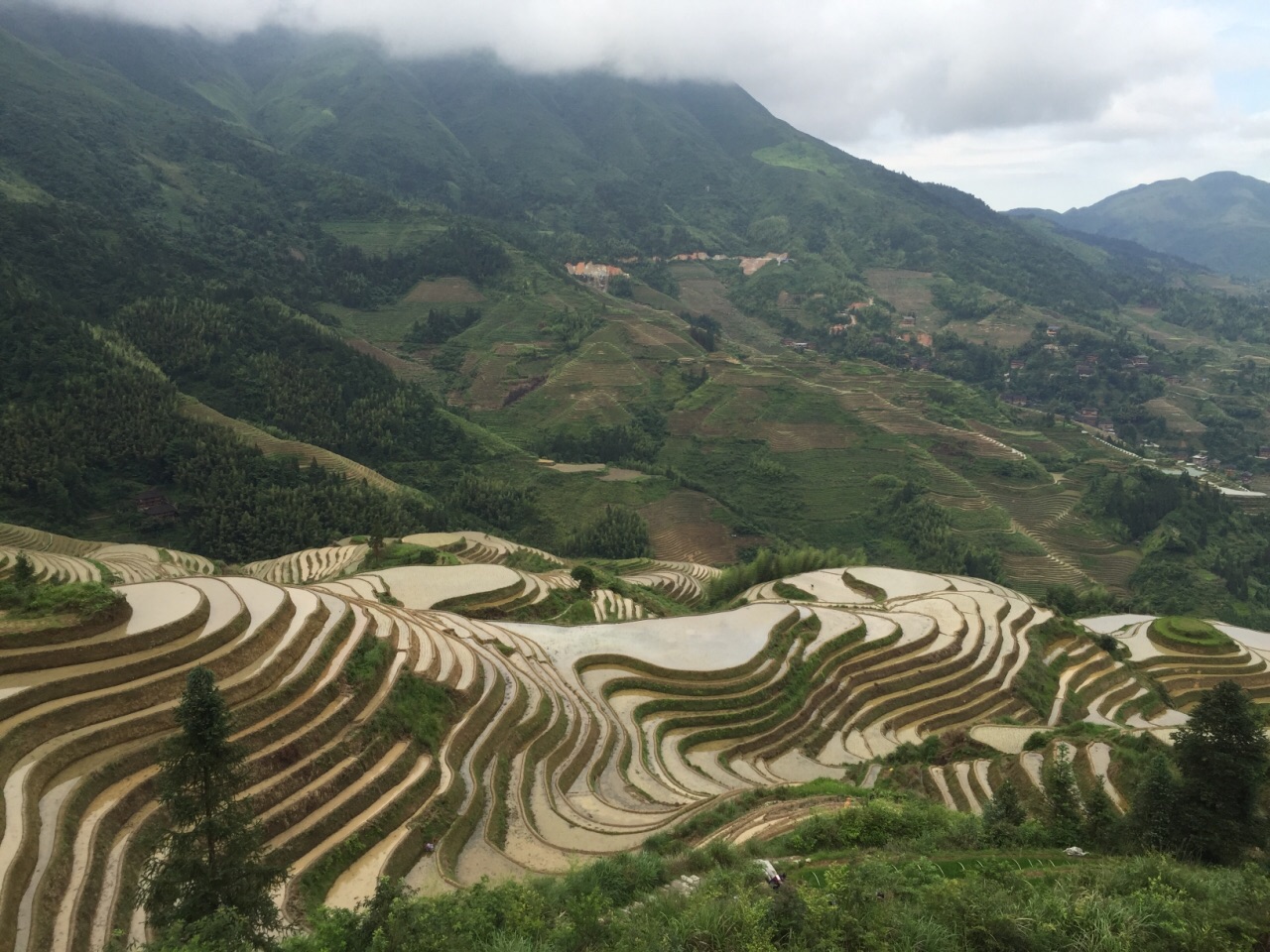 金坑梯田旅游景点攻略图