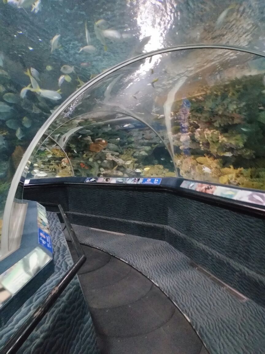 上海海洋水族馆
