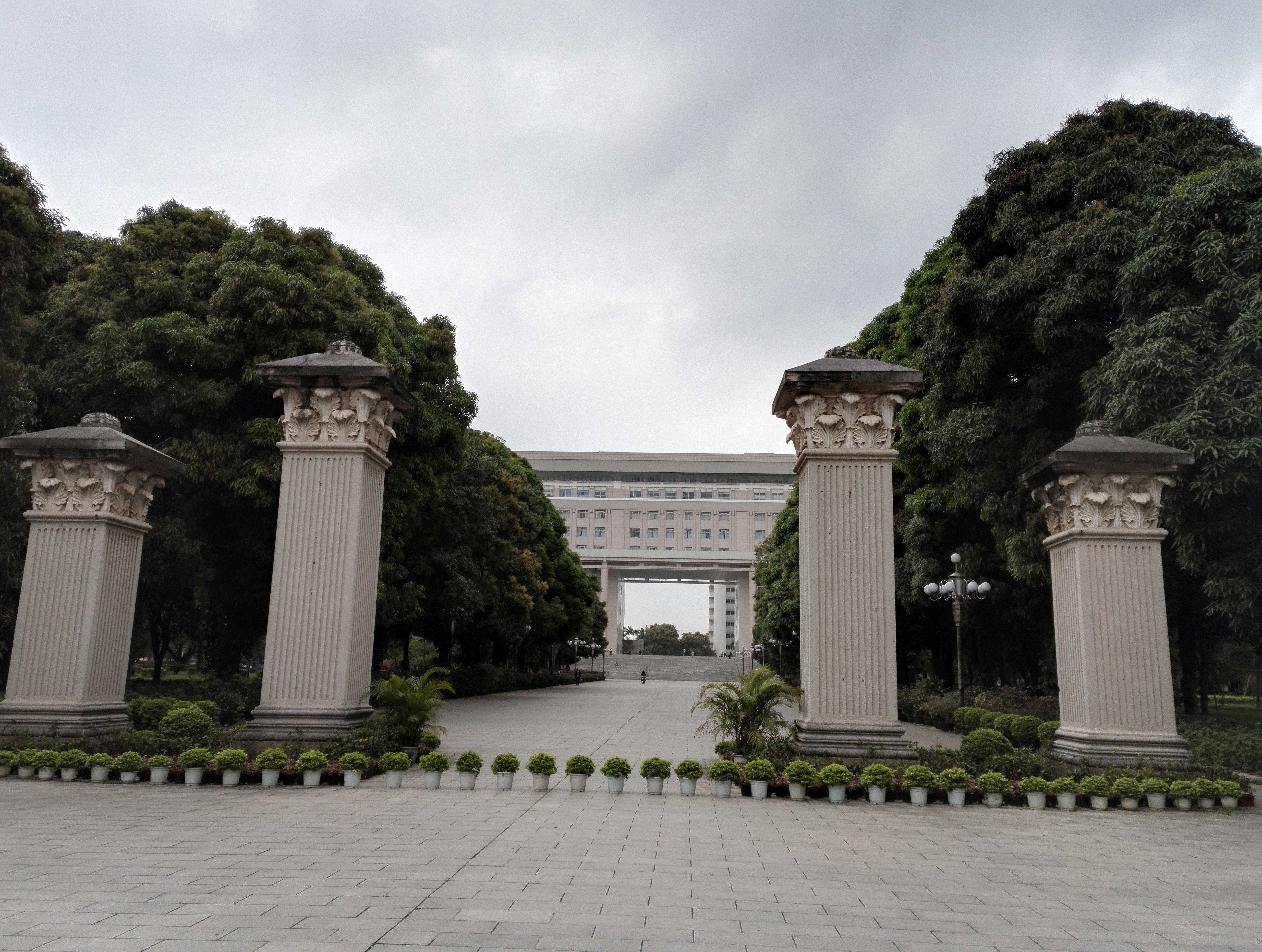 广西大学