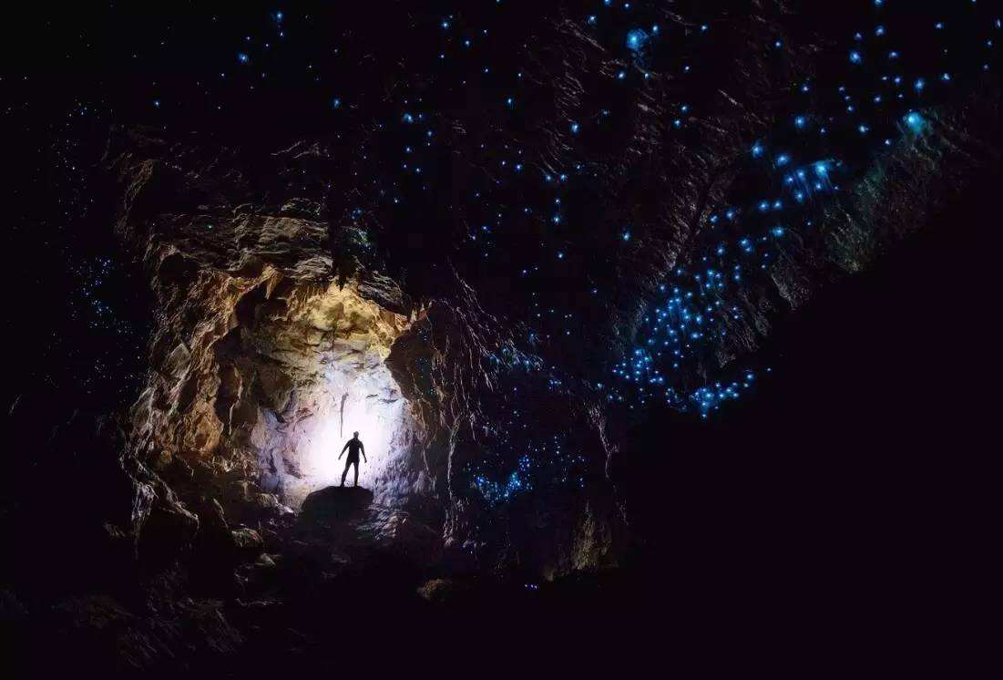 蒂阿瑙萤火虫洞旅游景点攻略图