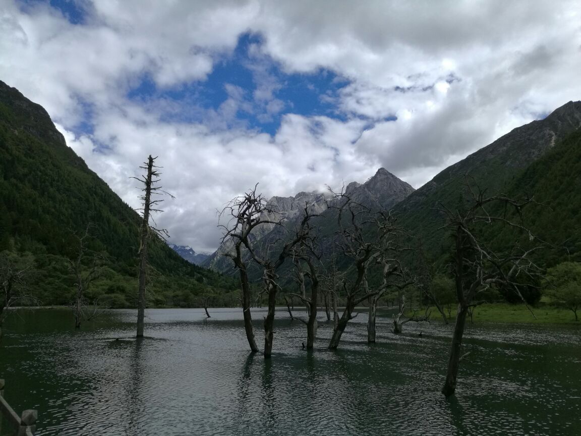 阿坝双桥沟好玩吗,阿坝双桥沟景点怎么样_点评_评价