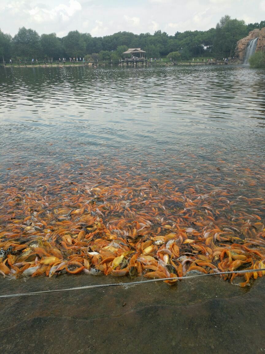 太阳岛风景区