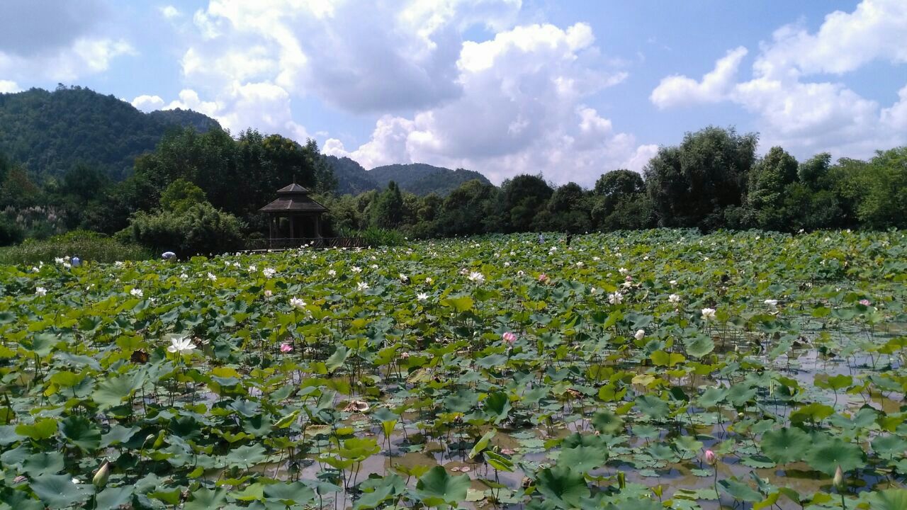 花溪国家城市湿地公园十里河滩景区