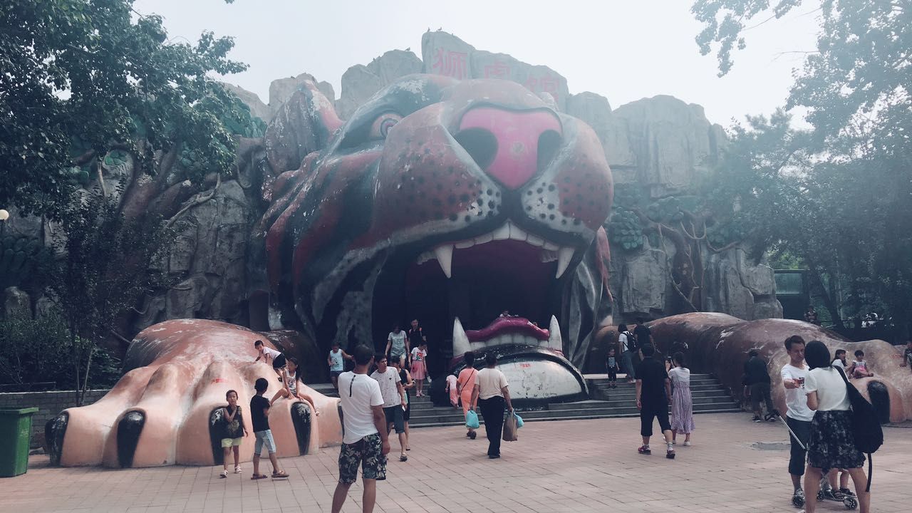 如果带孩子去天津市区,动物园绝对是个不错的选择,可以通过水上公园