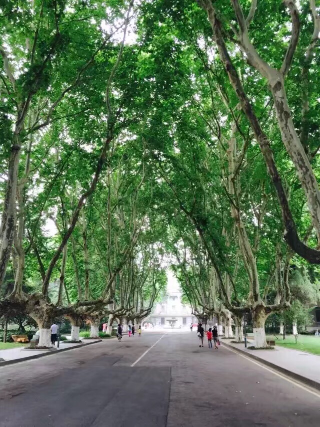 东南大学旅游景点攻略图