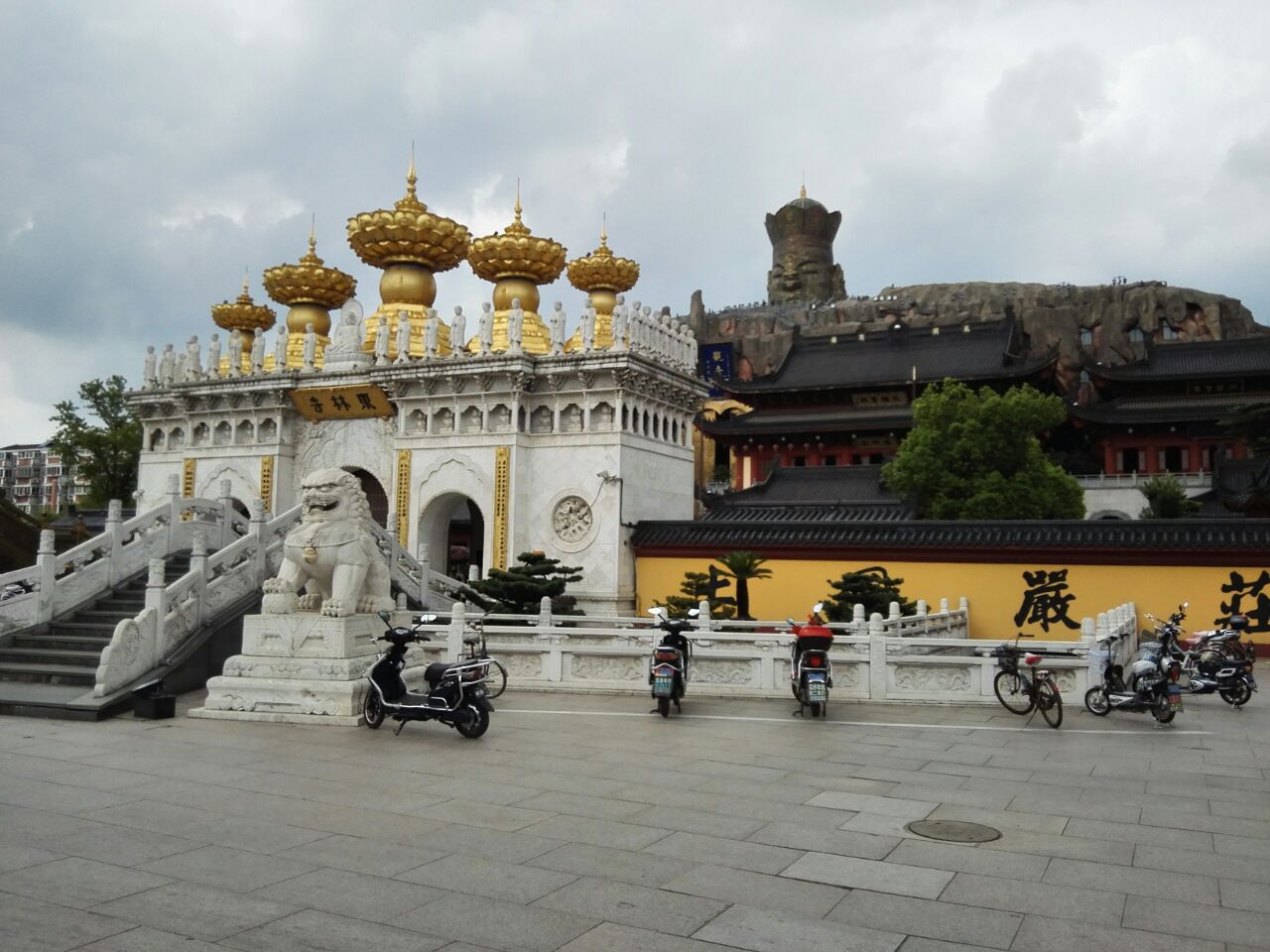 坐落于上海金山区朱泾镇的一座净土宗寺庙,和庐山东林寺重名,气势