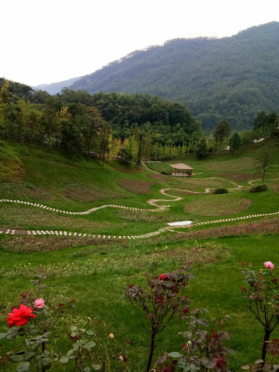 2019天府花溪谷_旅游攻略_门票_地址_游记点评,大邑旅游景点推荐 - 去