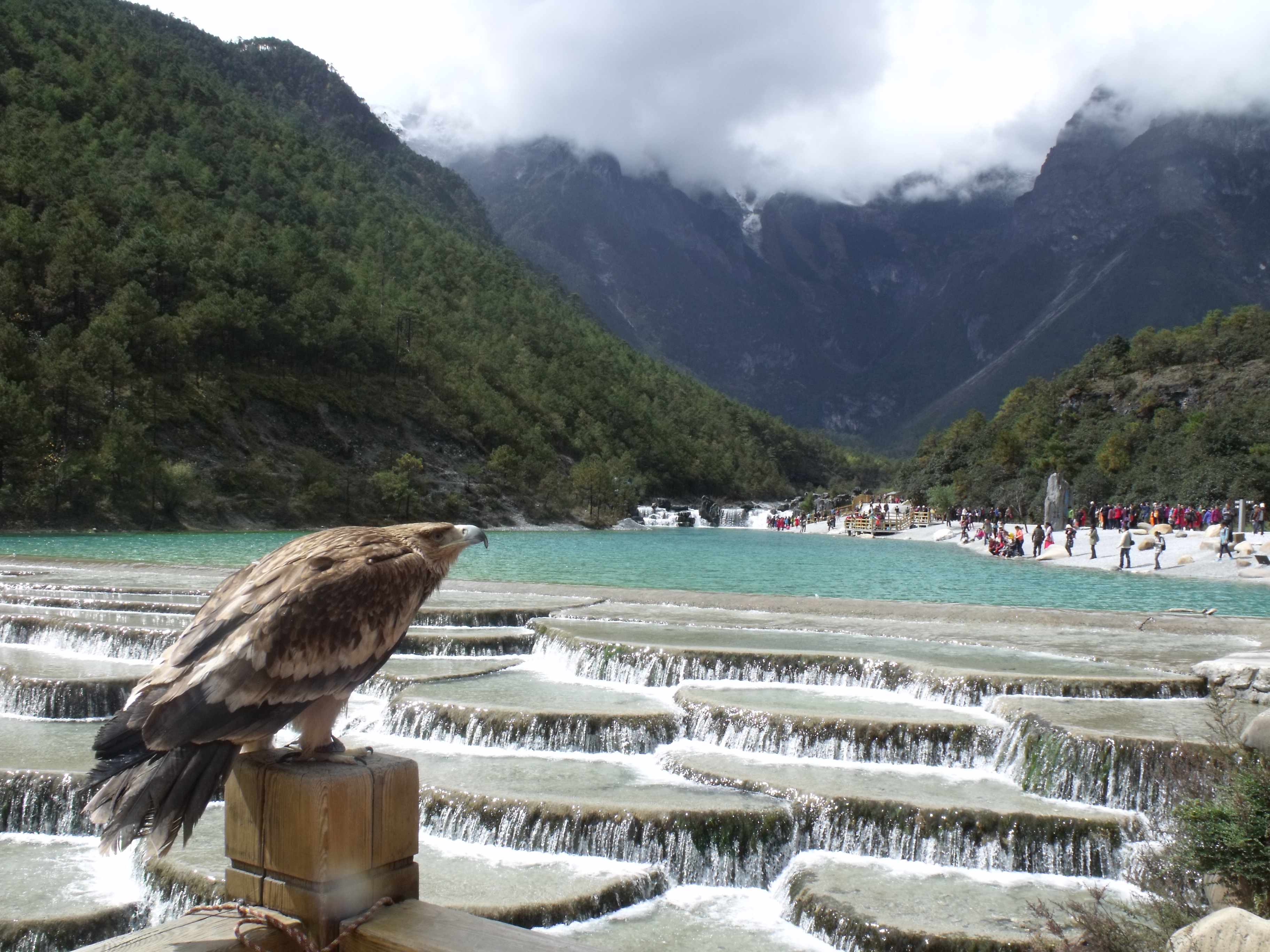 【携程攻略】丽江玉龙雪山适合情侣出游旅游吗,玉龙