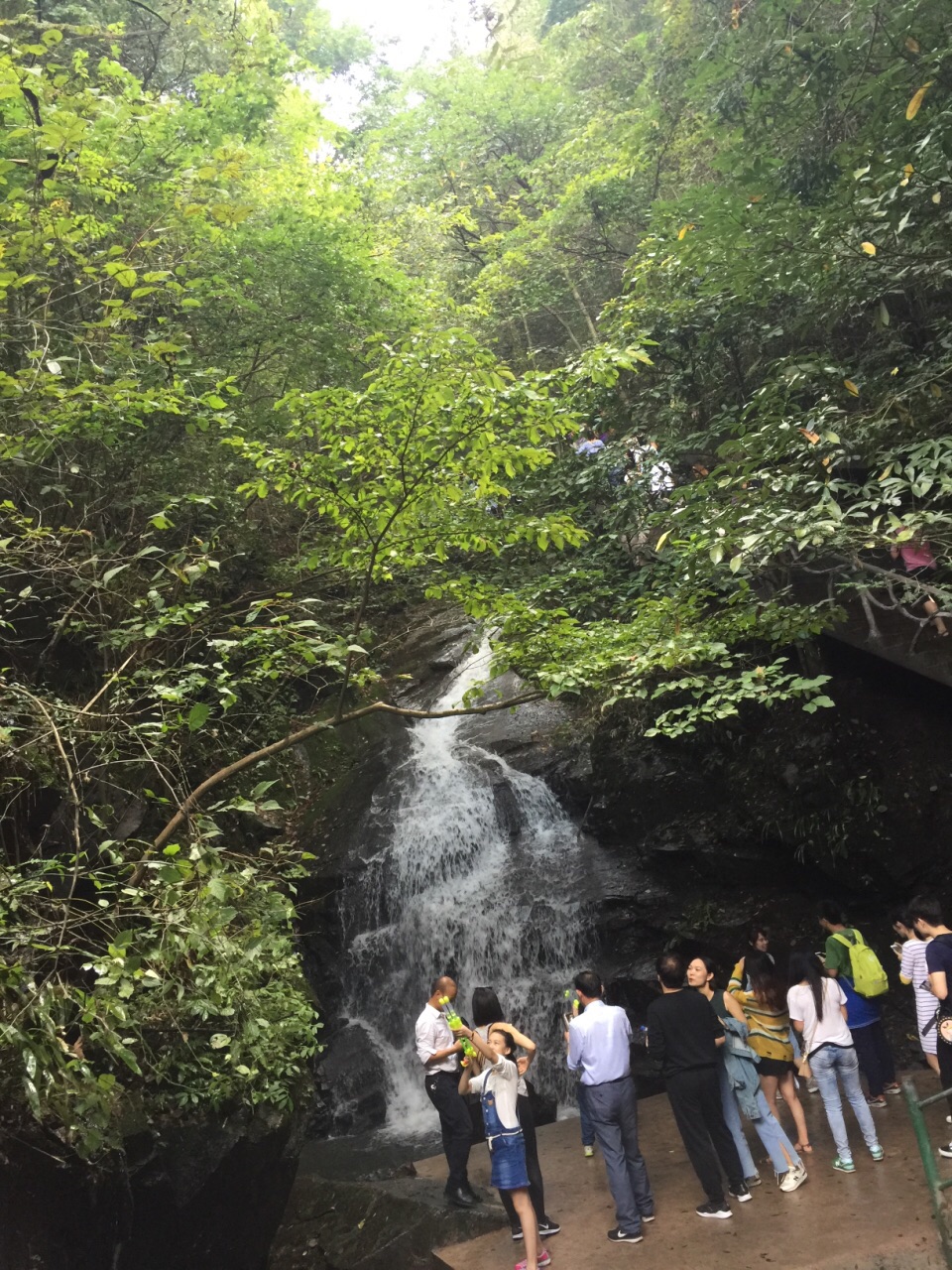 2019藏龙百瀑_旅游攻略_门票_地址_游记点评,安吉旅游景点推荐 - 去