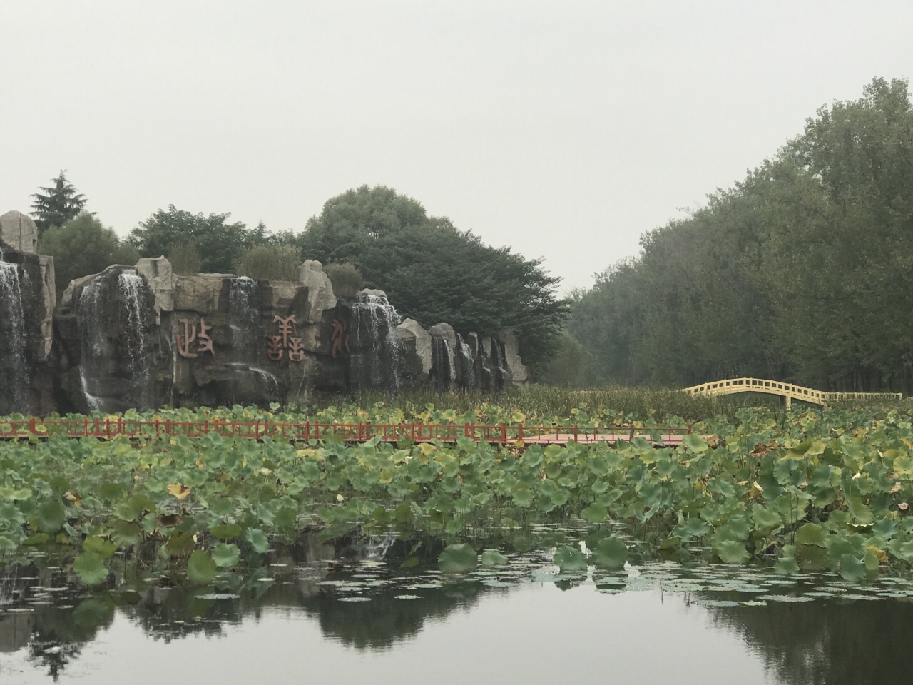 微山湖湿地红荷风景区旅游景点攻略图