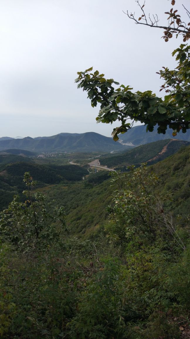 蓟州区九龙山国家森林公园好玩吗,蓟州区九龙山国家森林公园景点怎么