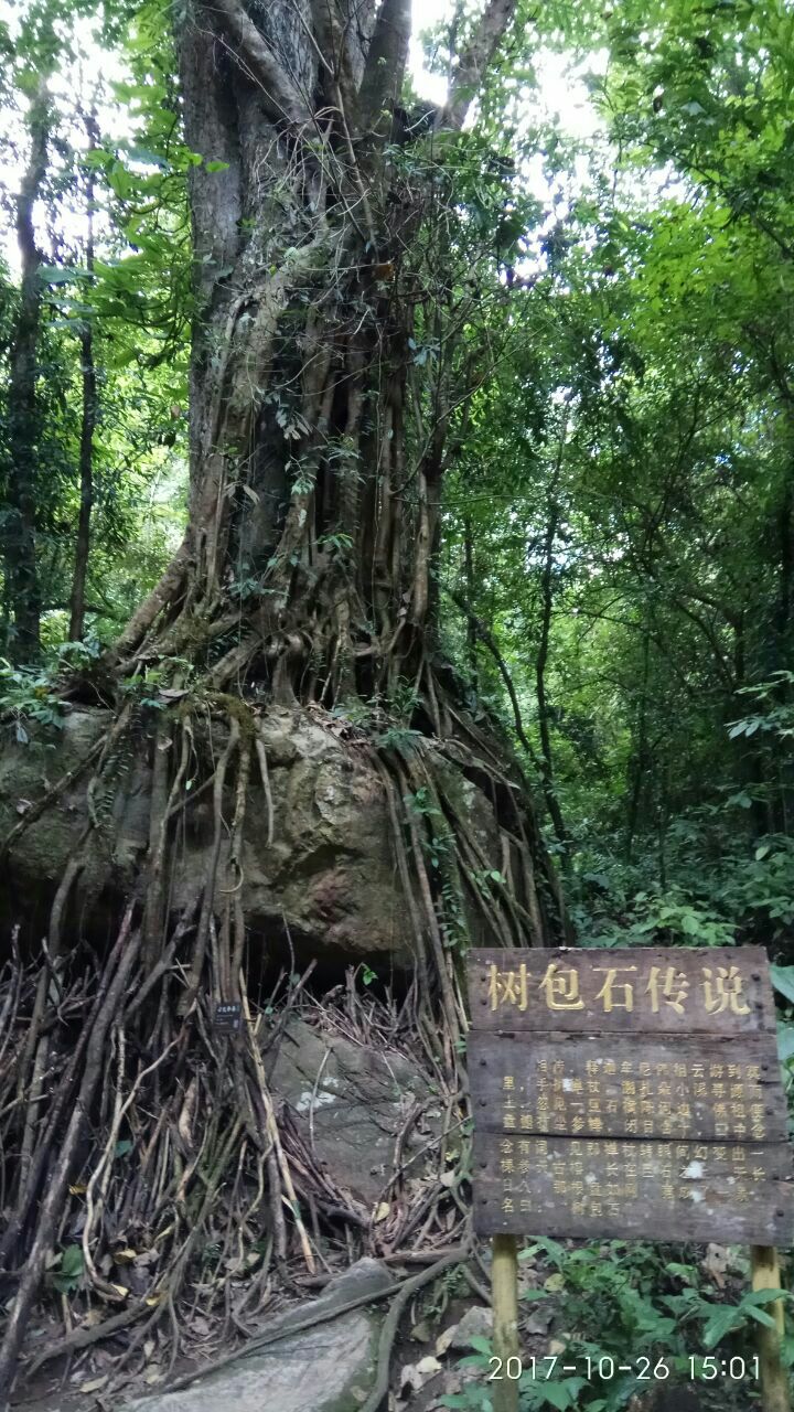 德宏大盈江攻略,德宏大盈江门票/游玩攻略/地址/图片