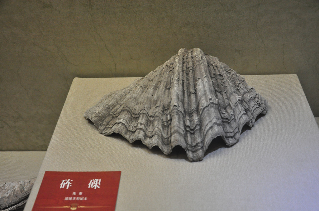 江苏游记之泰州姜堰博物馆