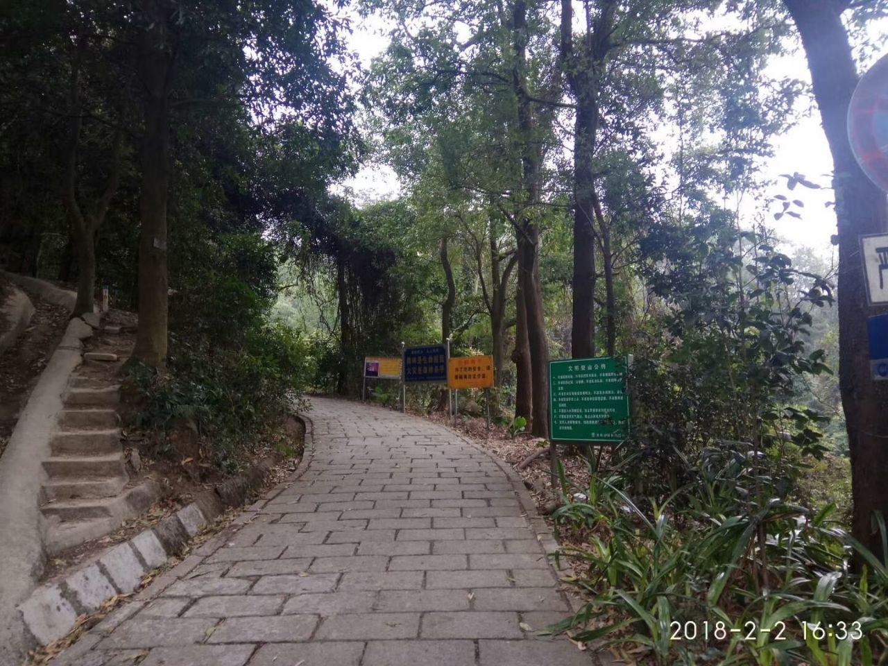 大岭山森林公园