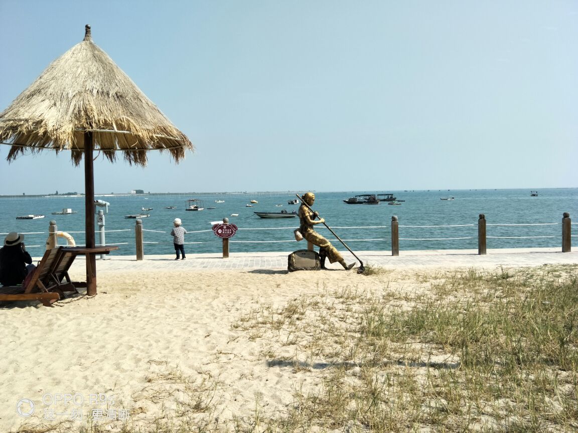 北海金海湾红树林生态旅游区