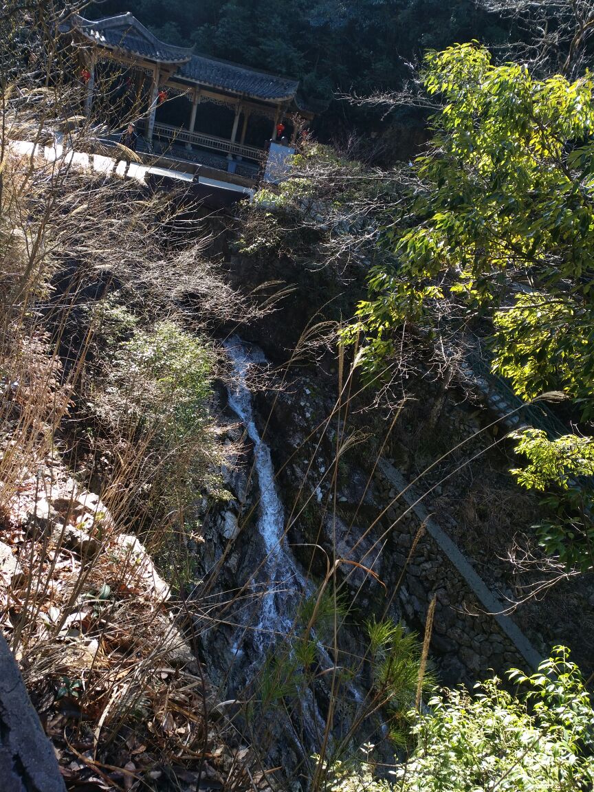 庆元百山祖景区好玩吗,庆元百山祖景区景点怎么样