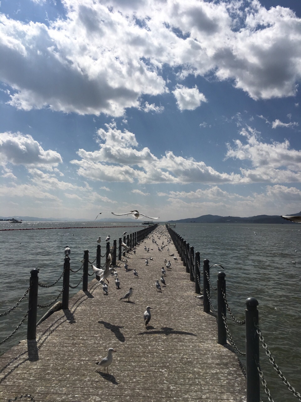 滇池旅游景点攻略图