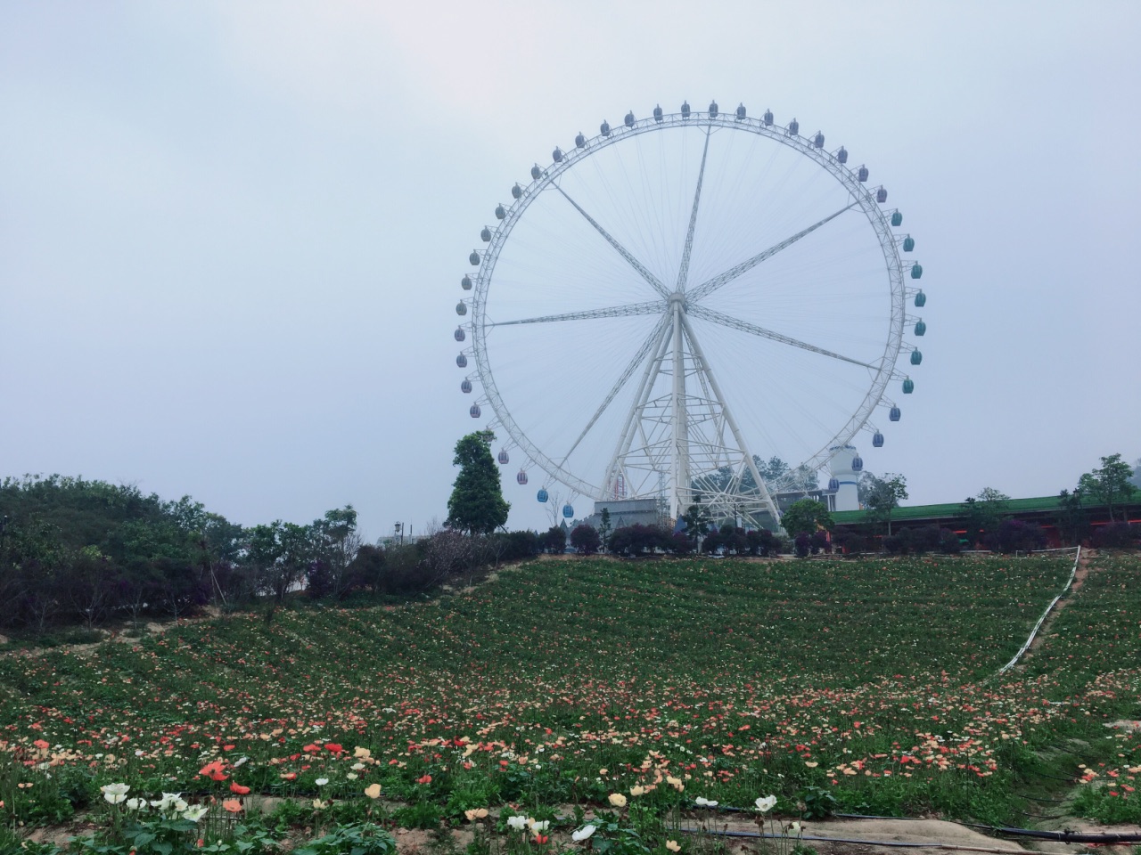 望天湖旅游度假区