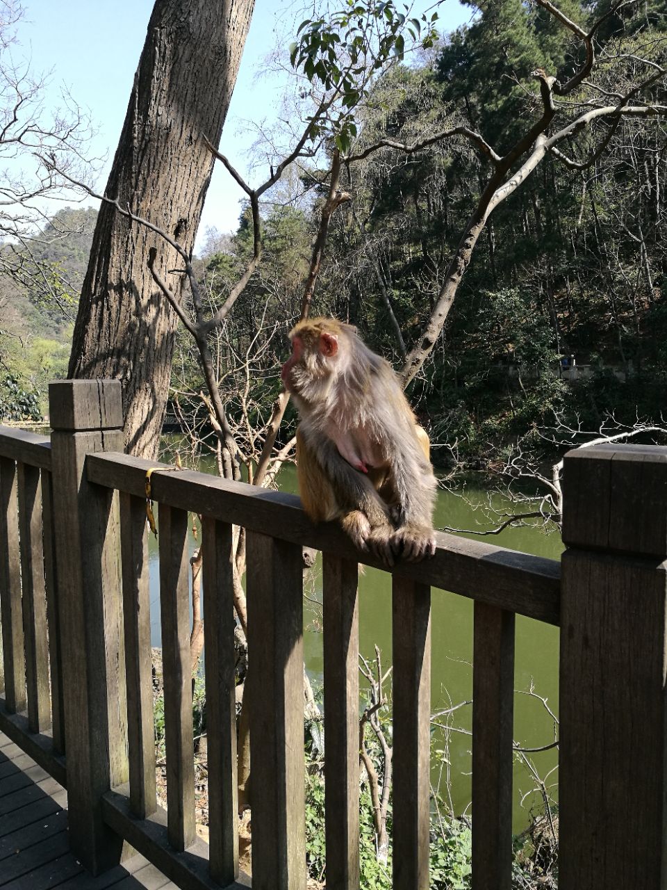 黔灵山公园