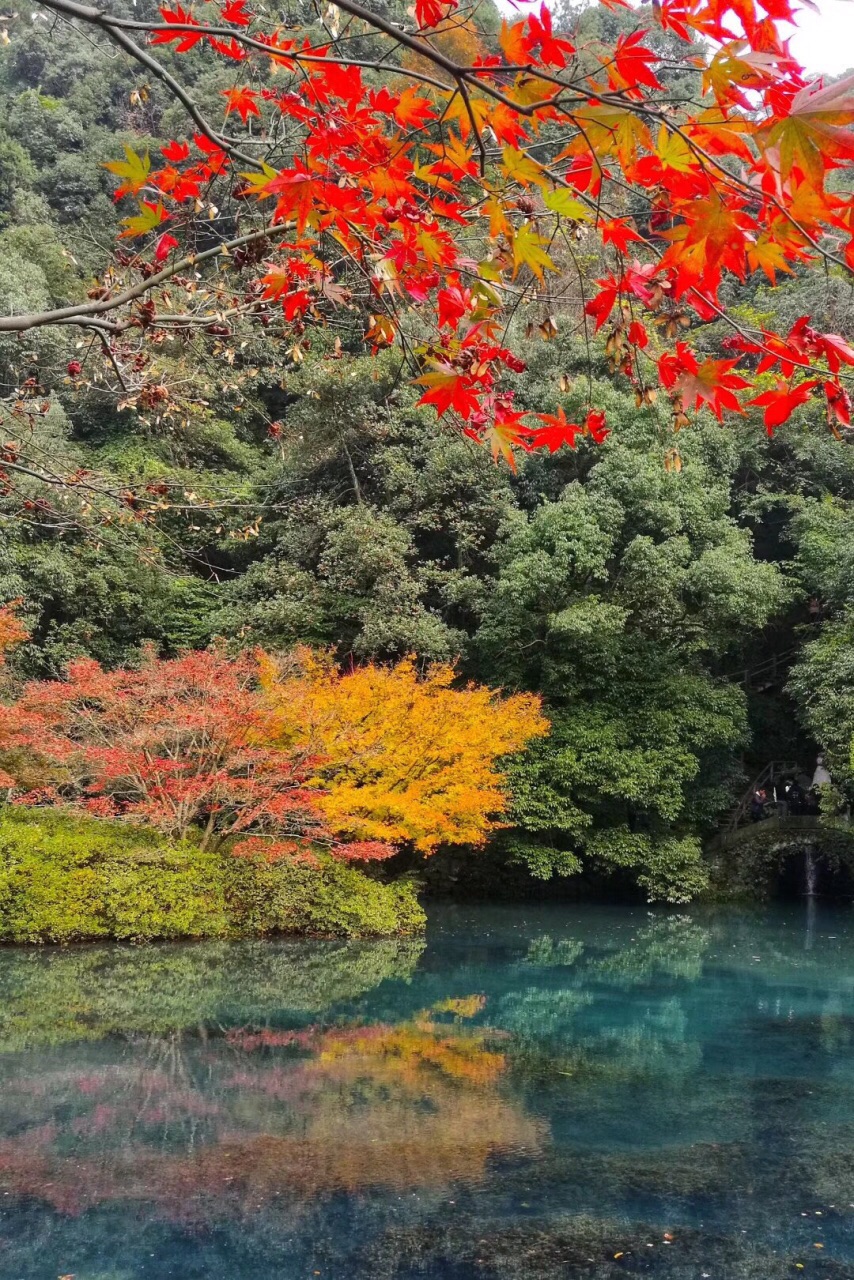 九溪烟树旅游景点攻略图