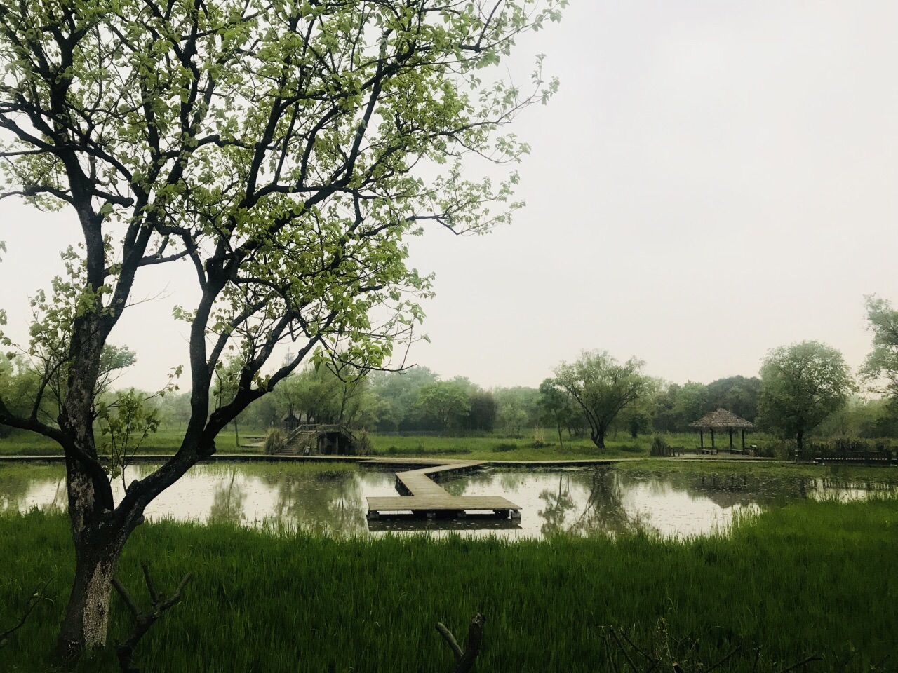 2019西溪国家湿地公园_旅游攻略_门票_地址_游记点评,杭州旅游景点