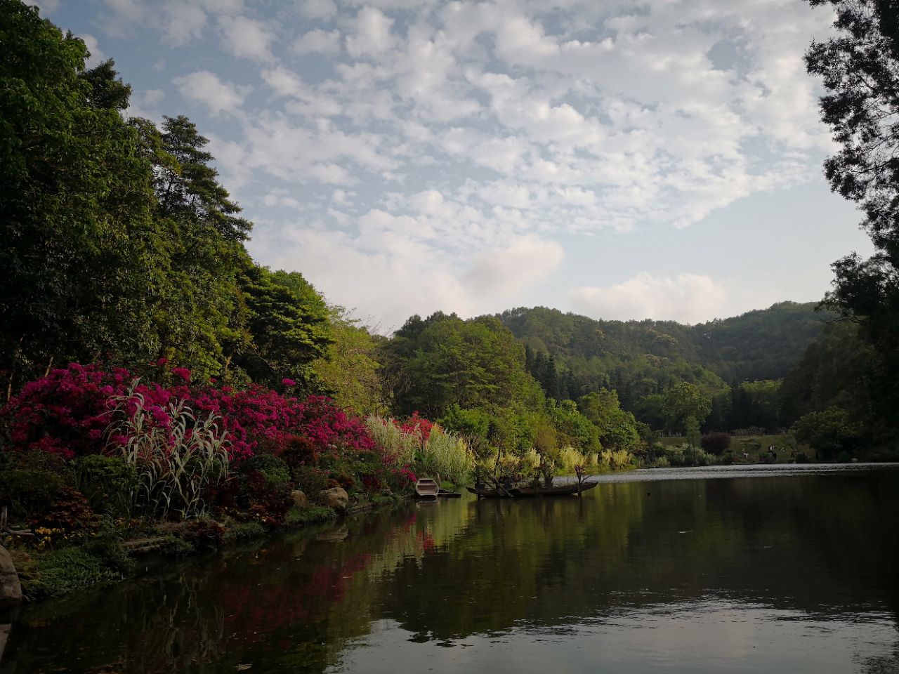 仙湖植物园