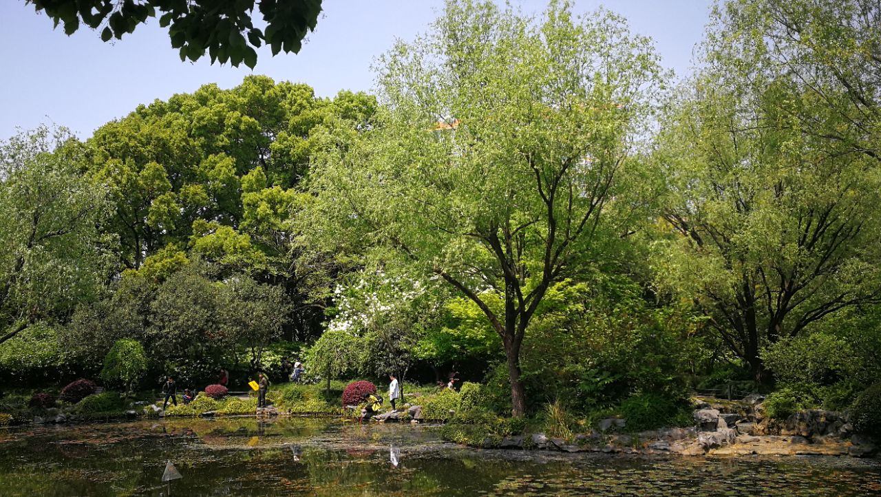 上海漕溪公园好玩吗,上海漕溪公园景点怎么样_点评