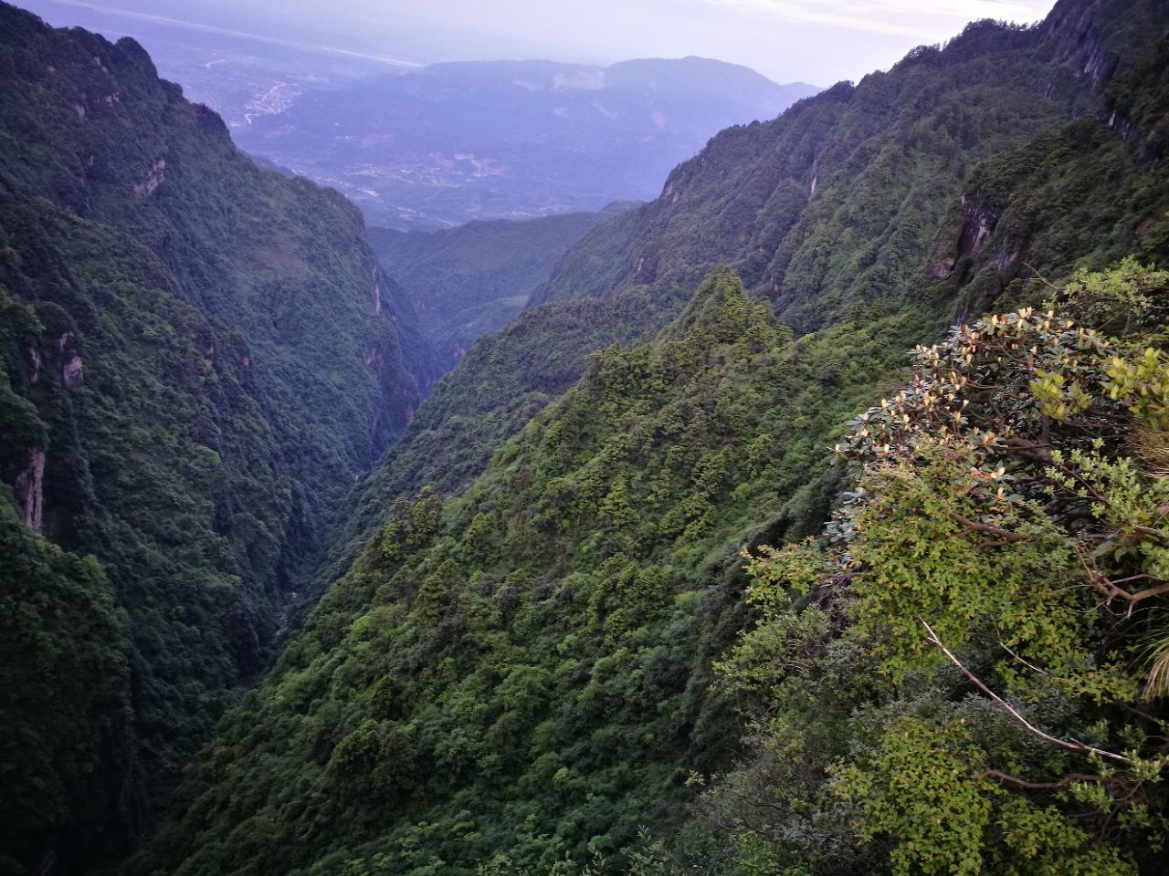 雷洞坪