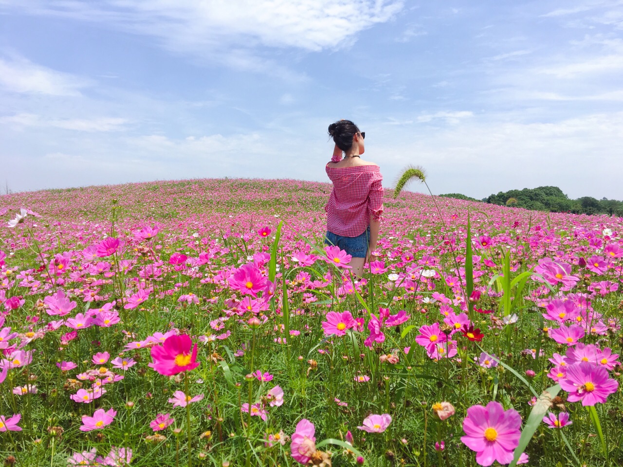 2019伏热花海庄园_旅游攻略_门票_地址_游记点评,句容