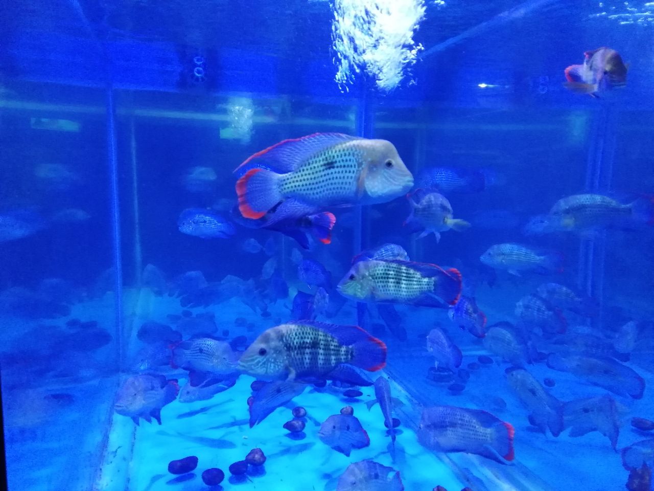 徐州水族展览馆
