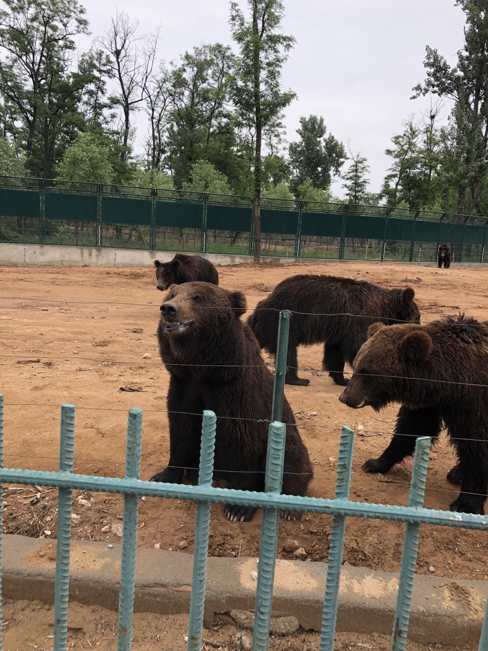 秦皇岛野生动物园