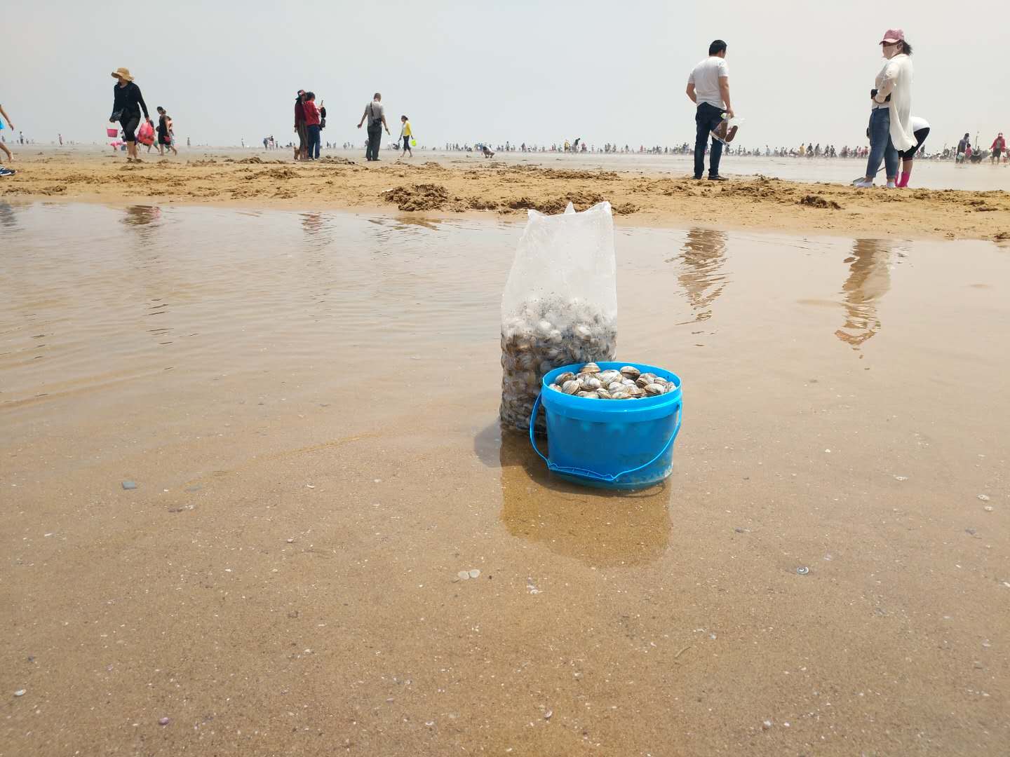 刘家湾赶海园