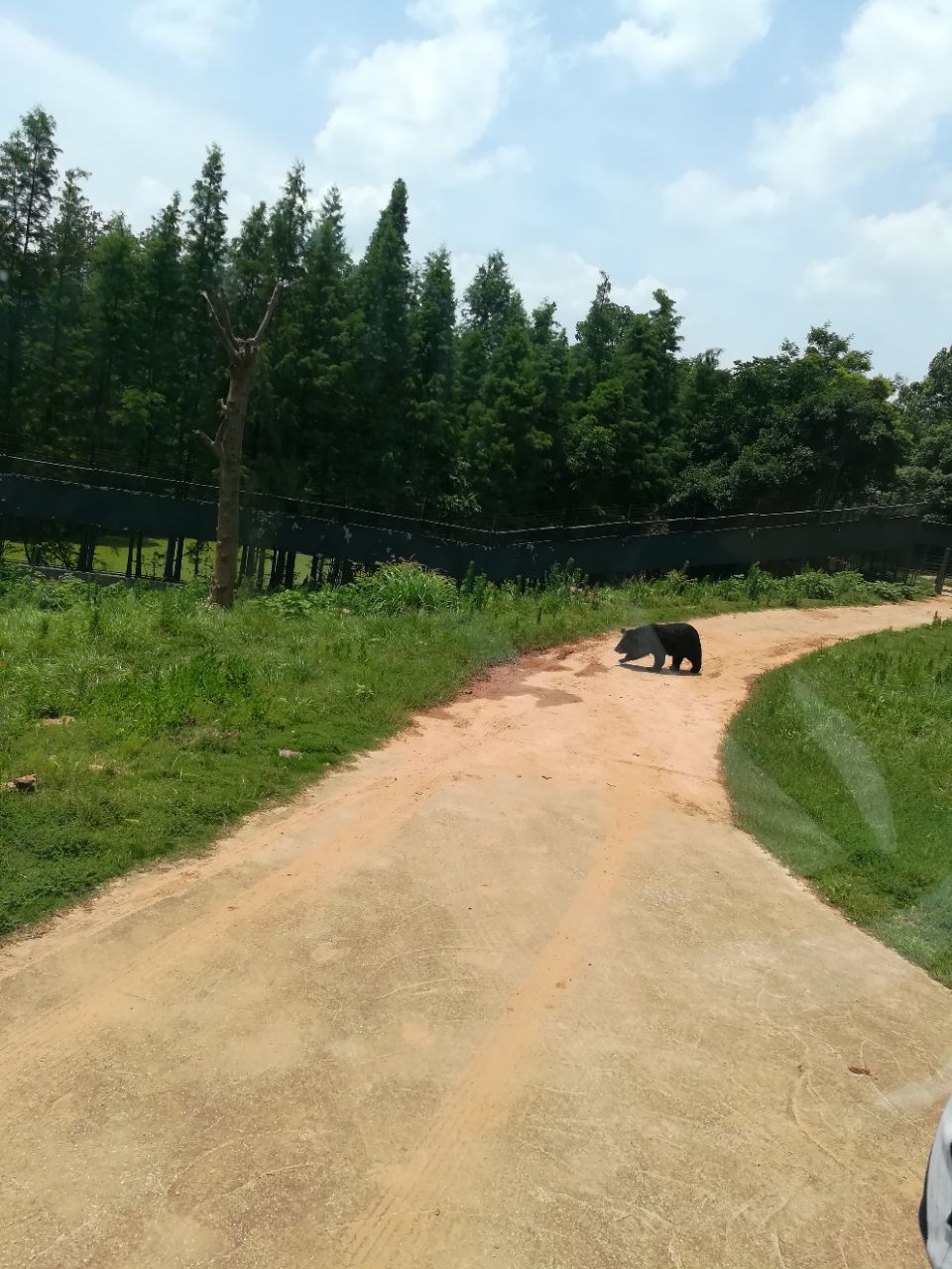 长沙生态动物园旅游景点攻略图