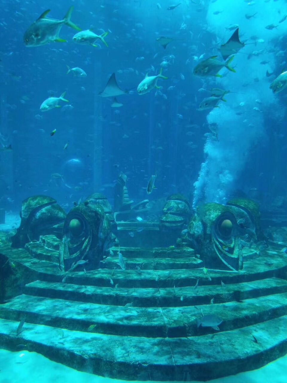 亚特兰蒂斯失落的空间水族馆