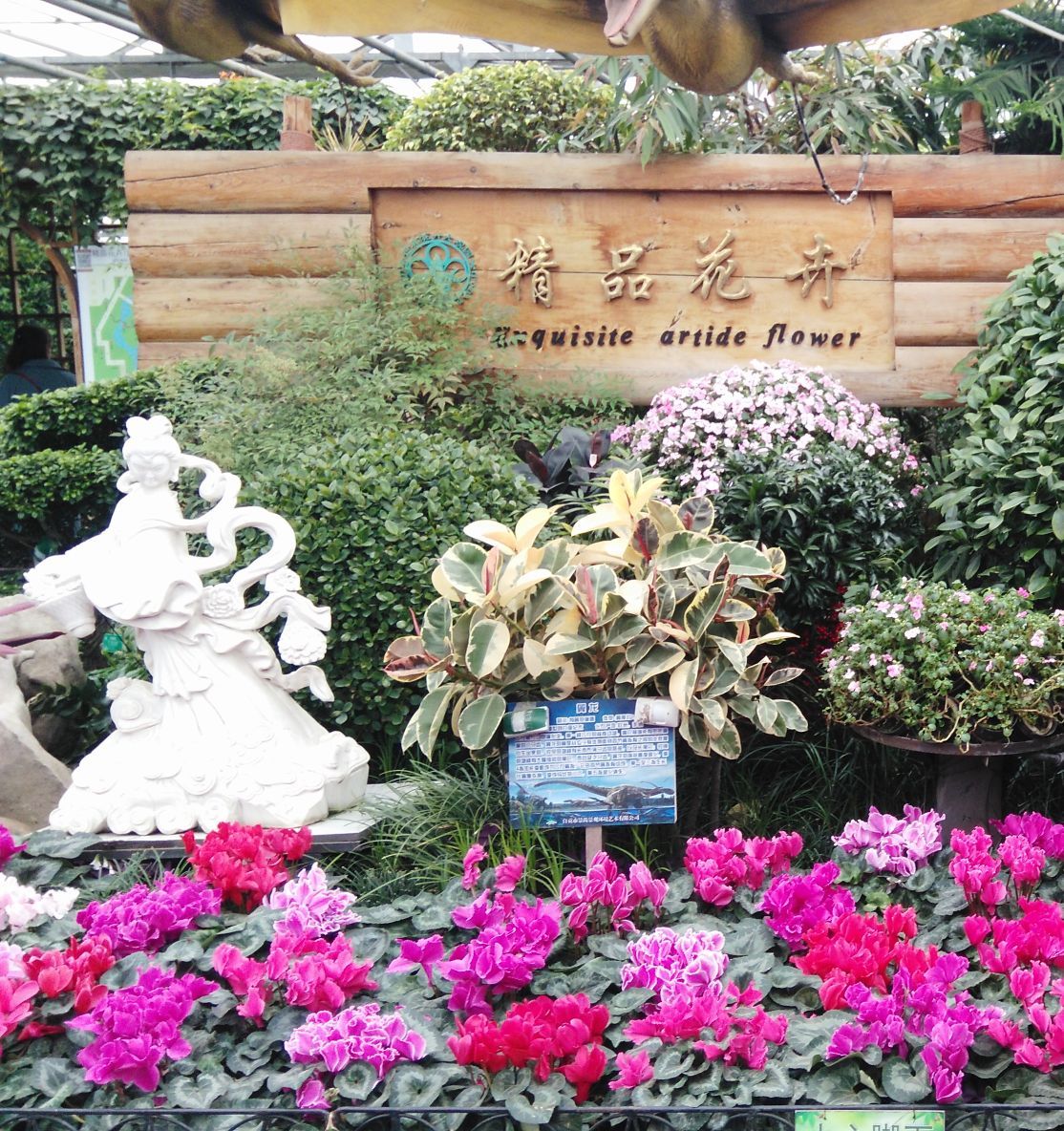2019世界花卉大观园_旅游攻略_门票_地址_游记点评