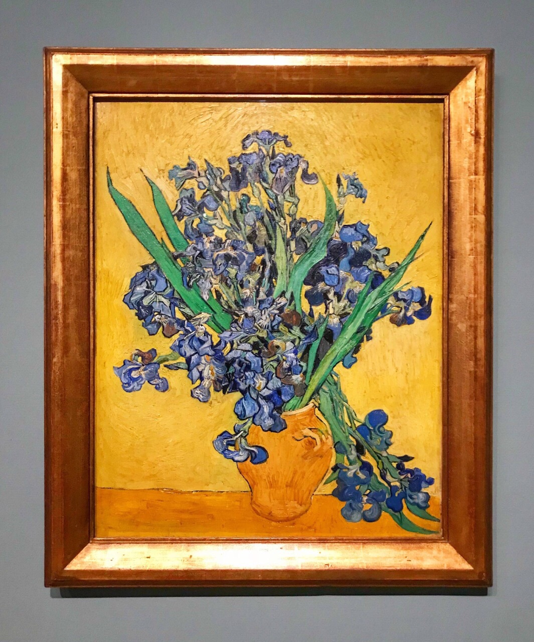 梵高美术馆图片