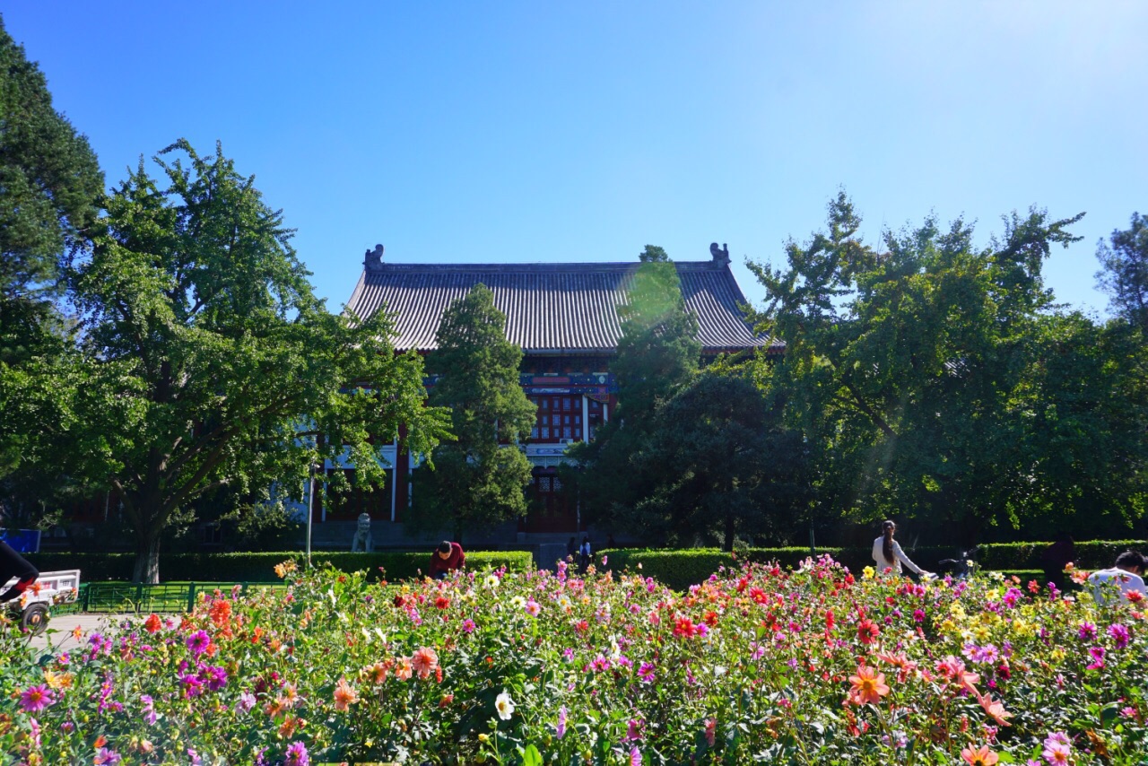 北京大学