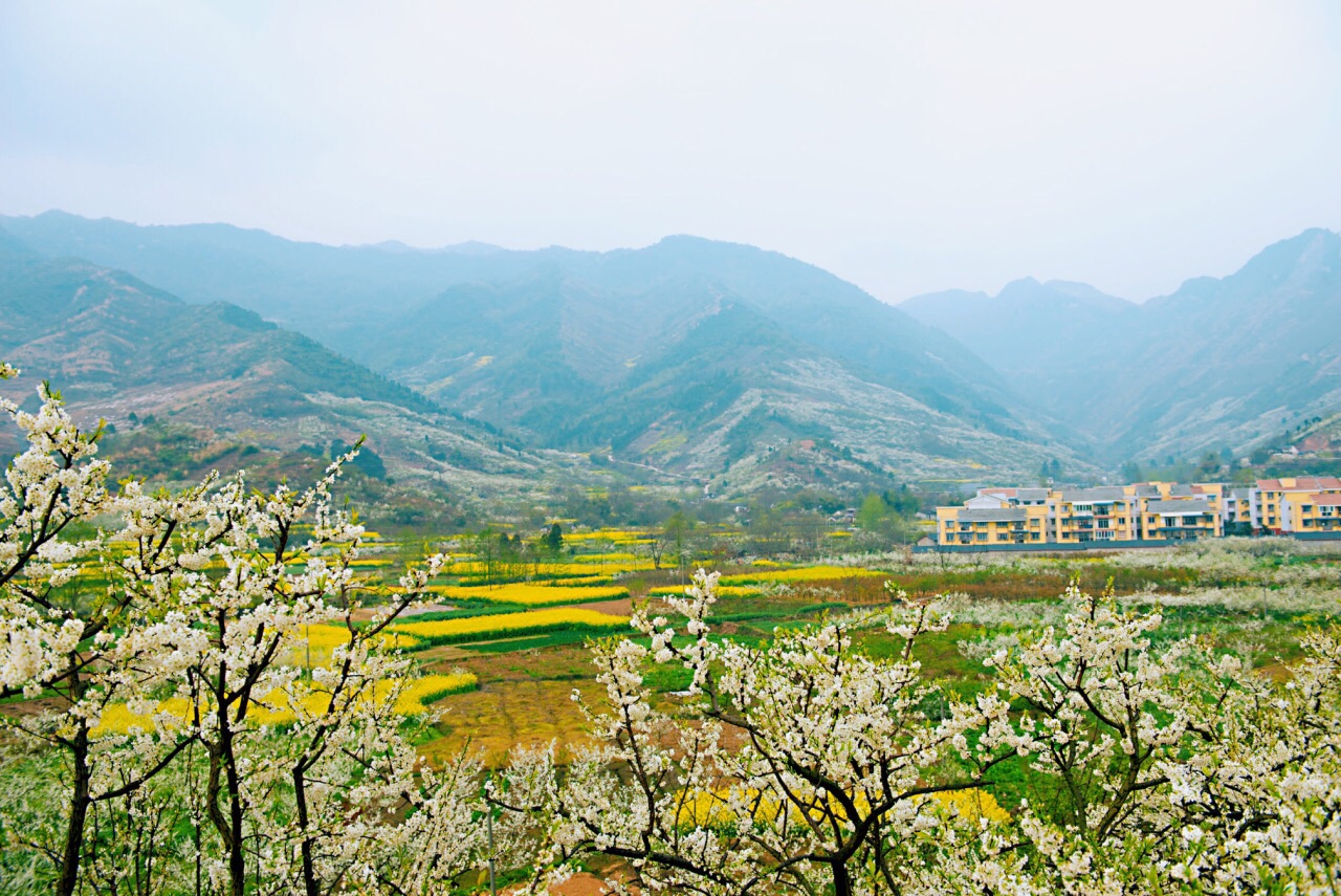 花园沟景区旅游景点攻略图