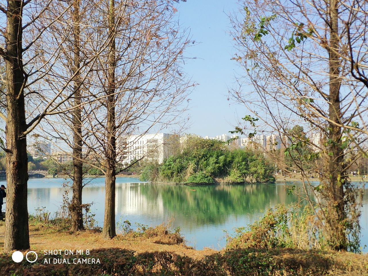 西华大学(南门)