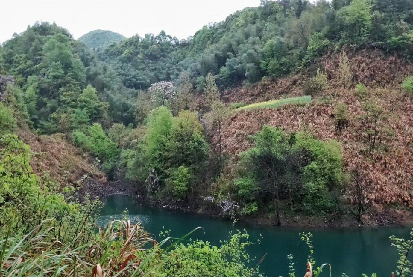 宣城青龙湾生态旅游区攻略,宣城青龙湾生态旅游区门票