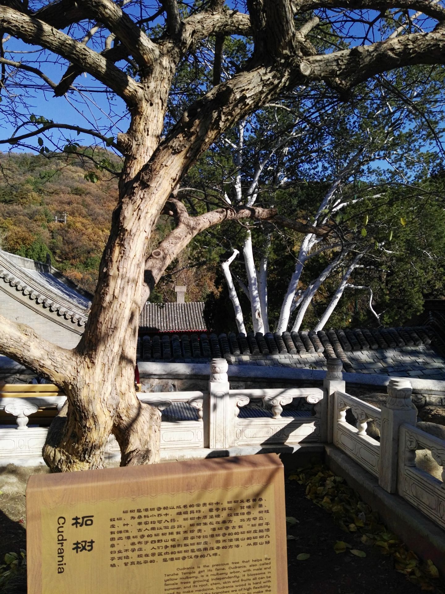 潭柘寺