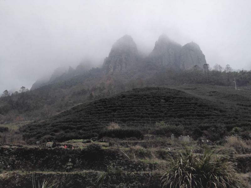 马岭美女峰位于马岭古道上,古道建于何时已无从考证,但据当地村民口耳