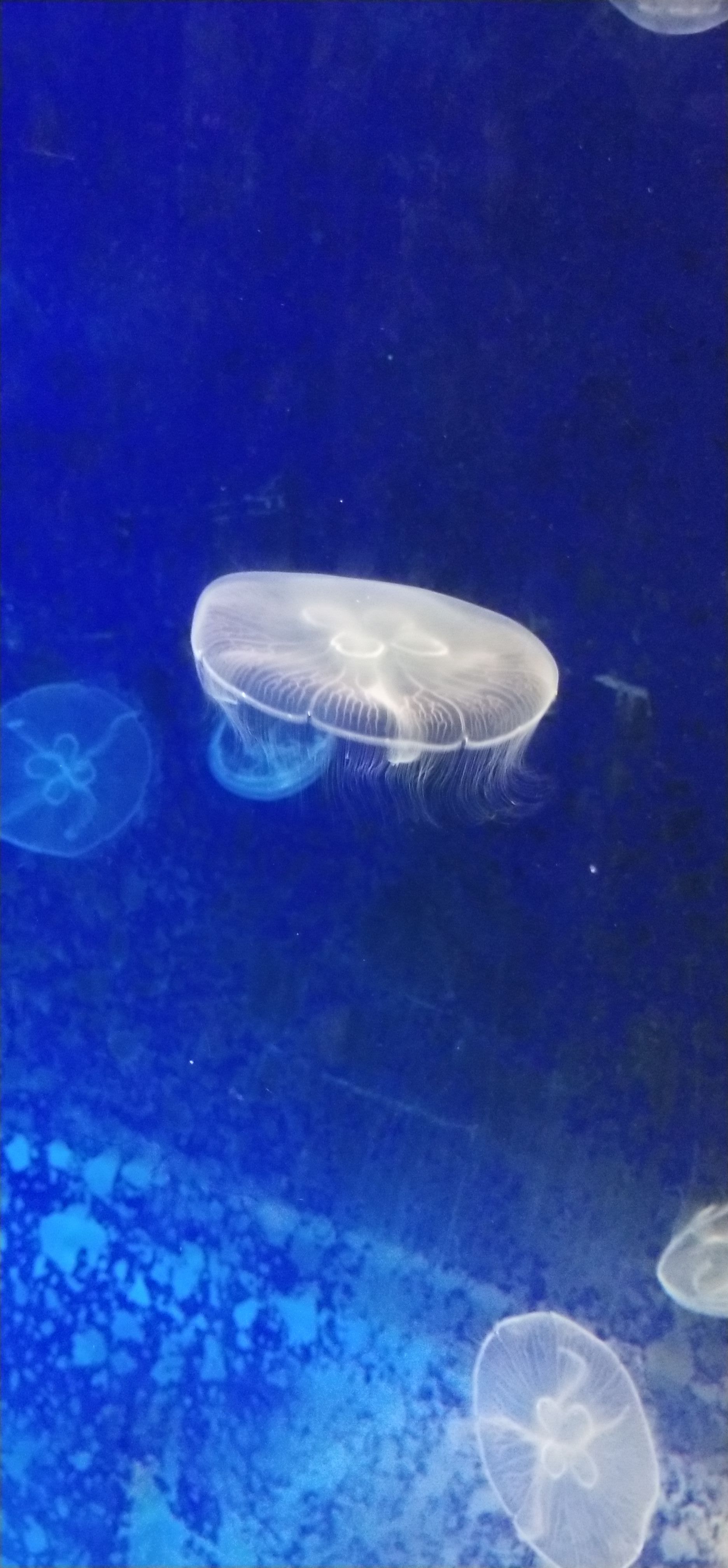 临沂极地海洋世界