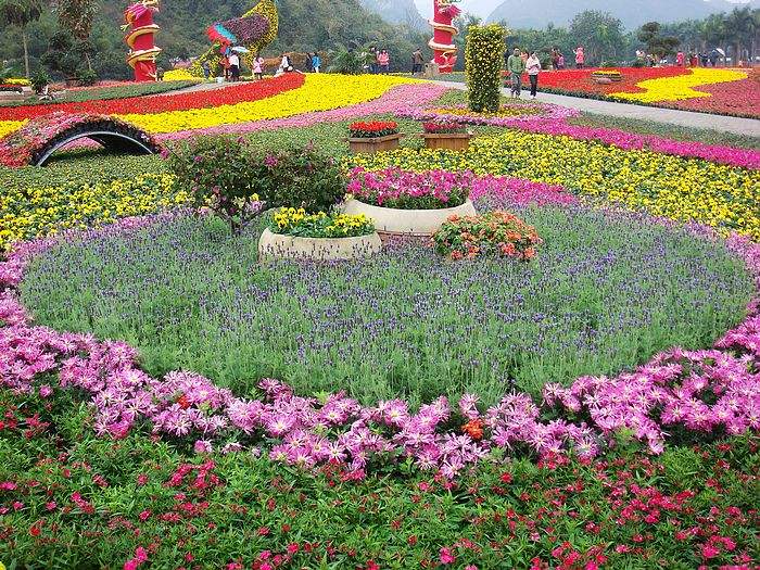 【携程攻略】武鸣区花花大世界景点,上周周末趁天气好
