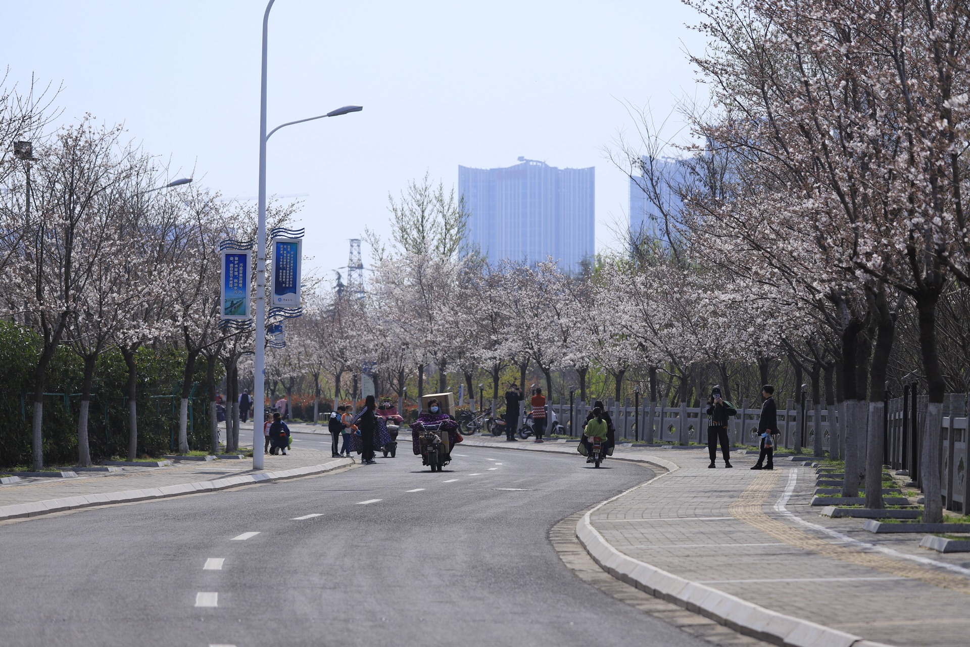 淮安樱花园好玩吗,淮安樱花园景点怎么样_点评_评价