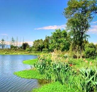 羊马湿地公园   分 1条点评 自然风光 湿地 距景点3.4km