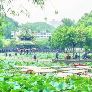 富顺西湖